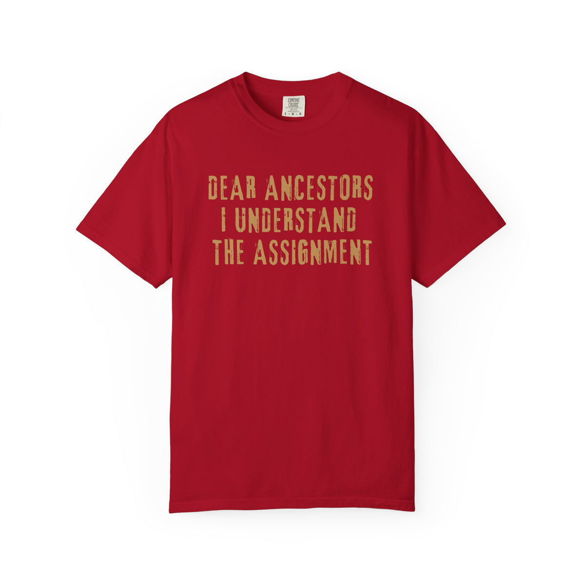 Dear Ancestors, I Understand the Assignment