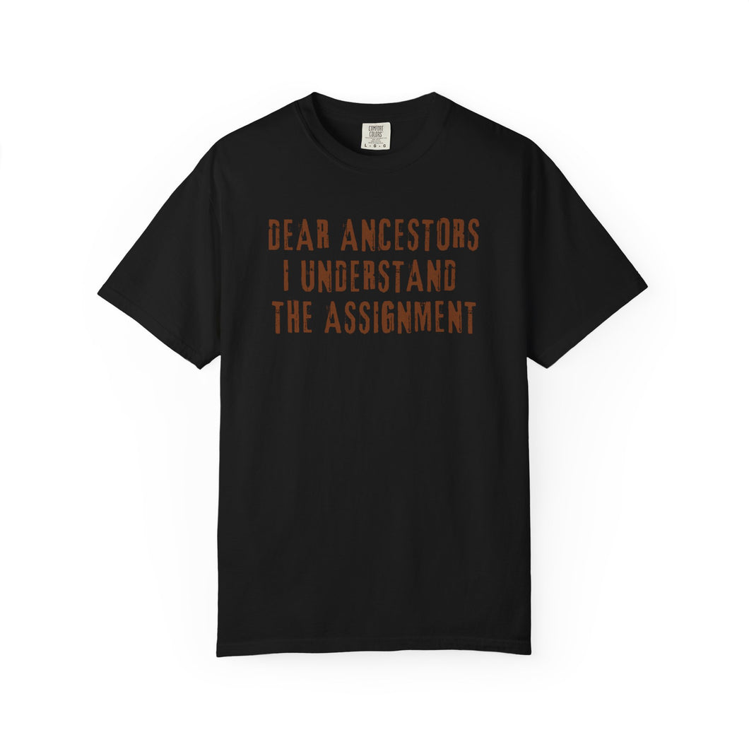 Dear Ancestors - Heritage Representation T-shirt (Brown)