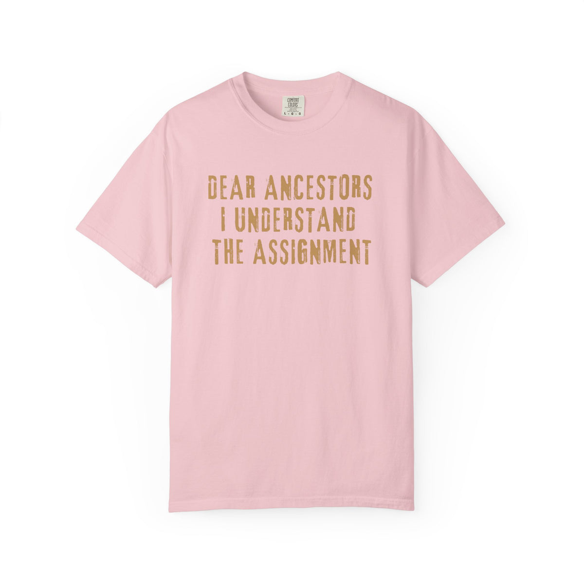 Dear Ancestors, I Understand the Assignment